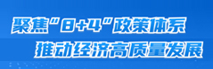 聚焦“8+4”政策體系，推動經濟高質量發展